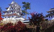 �S�㔪����