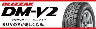 アップルクラブ　ブリヂストン　BRIDGE STONE　ブリザック　BLIZZAK　ＤＭ－Ｖ２　DM-V2　ディーエム・ブイツー　ＳＵＶ用スタッドレス　タイヤ　岐阜県　タイヤ交換　岐阜市　タイヤ販売　apple-club　稲沢市　犬山市　江南市　一宮市　愛知県　本巣市　関市　各務原市　岐南町　名古屋市　大垣市　滋賀県　長浜市　米原市　彦根市　大津市